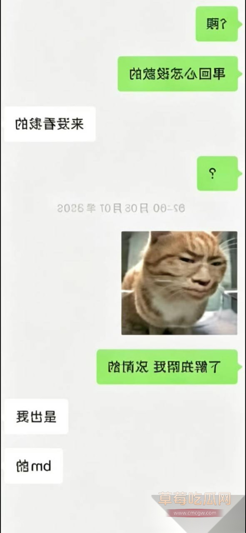 王者荣耀狼队清清 21 王者荣耀狼队清清 21