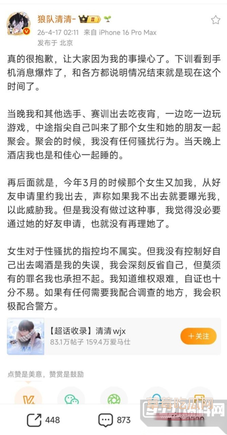 王者荣耀狼队清清 26 王者荣耀狼队清清 26