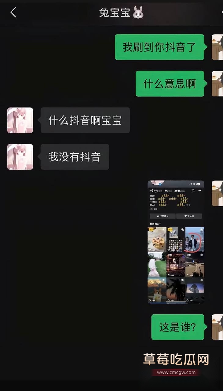 兰陵王1 兰陵王1