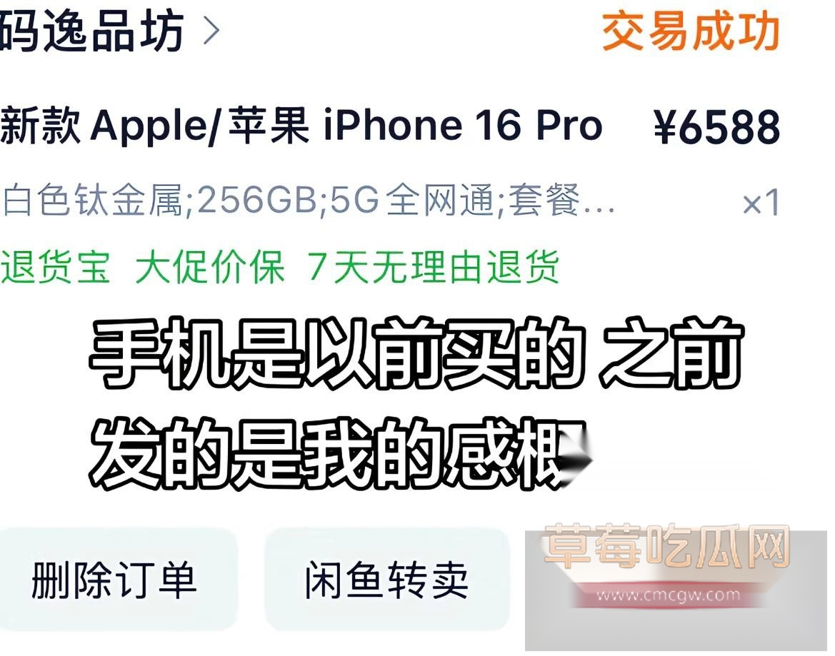 兰陵王24 兰陵王24