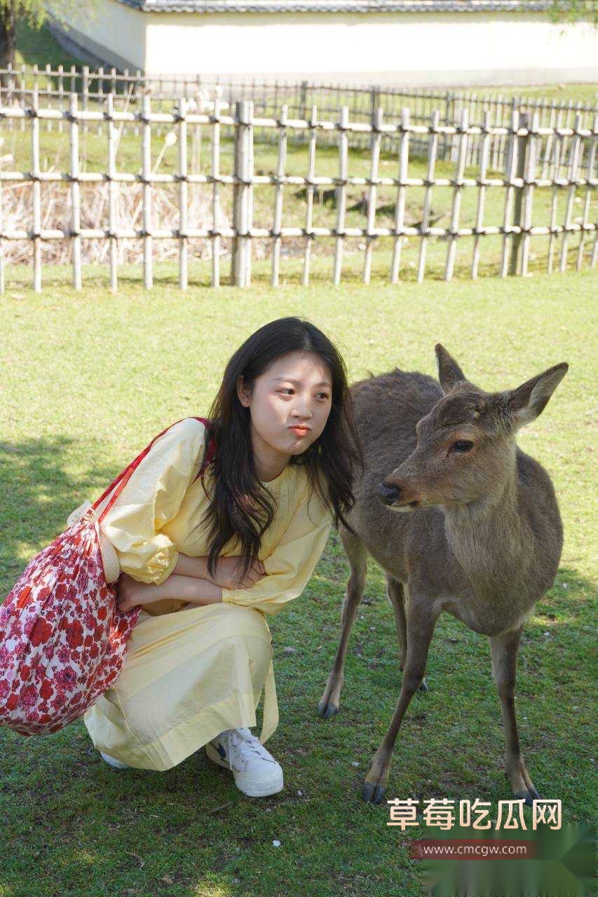 1 1