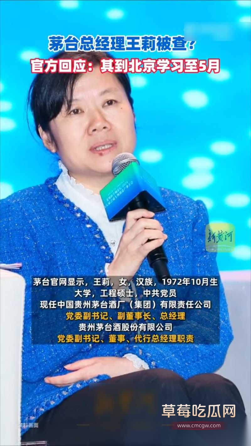 2026茅台总经理 王莉 2 2026茅台总经理 王莉 2