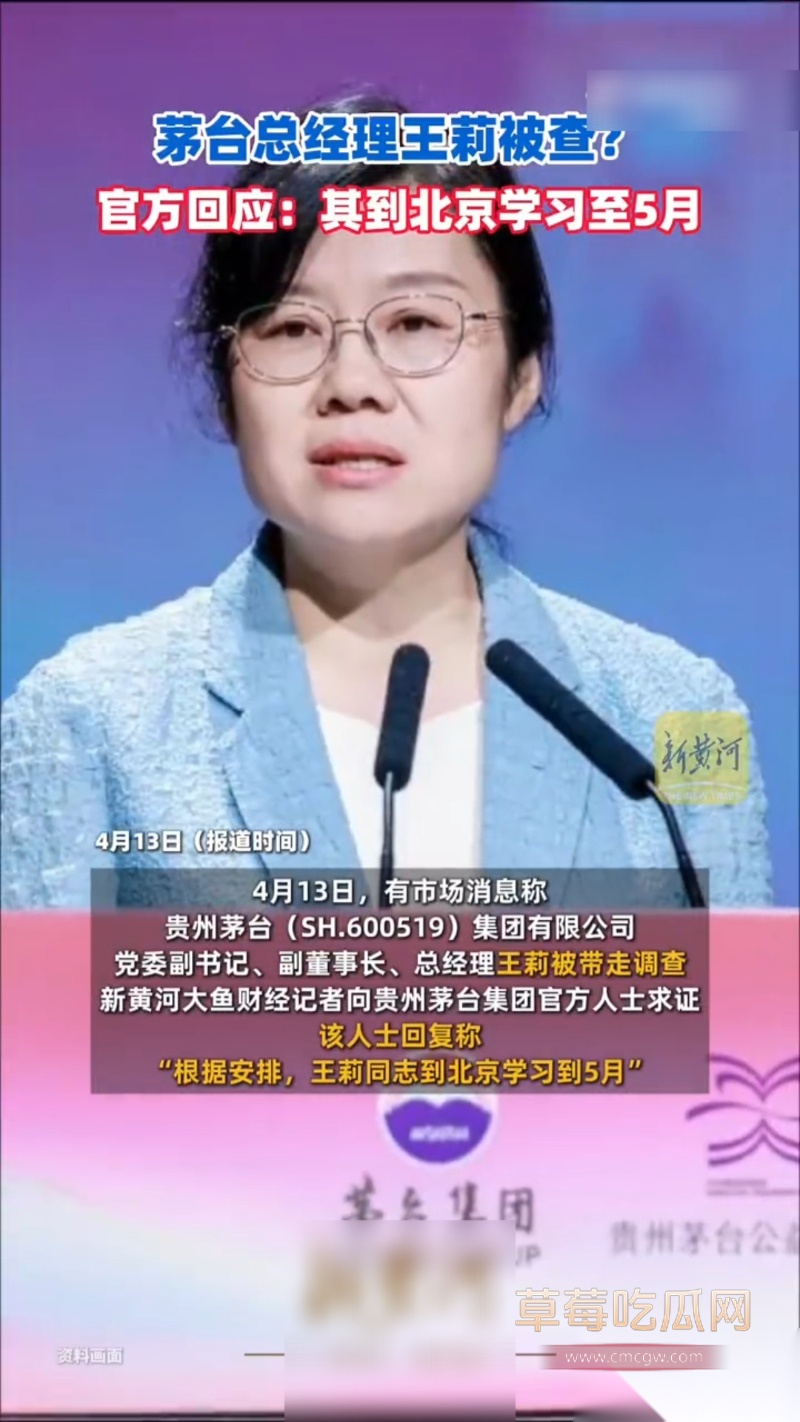 2026茅台总经理 王莉 3 2026茅台总经理 王莉 3