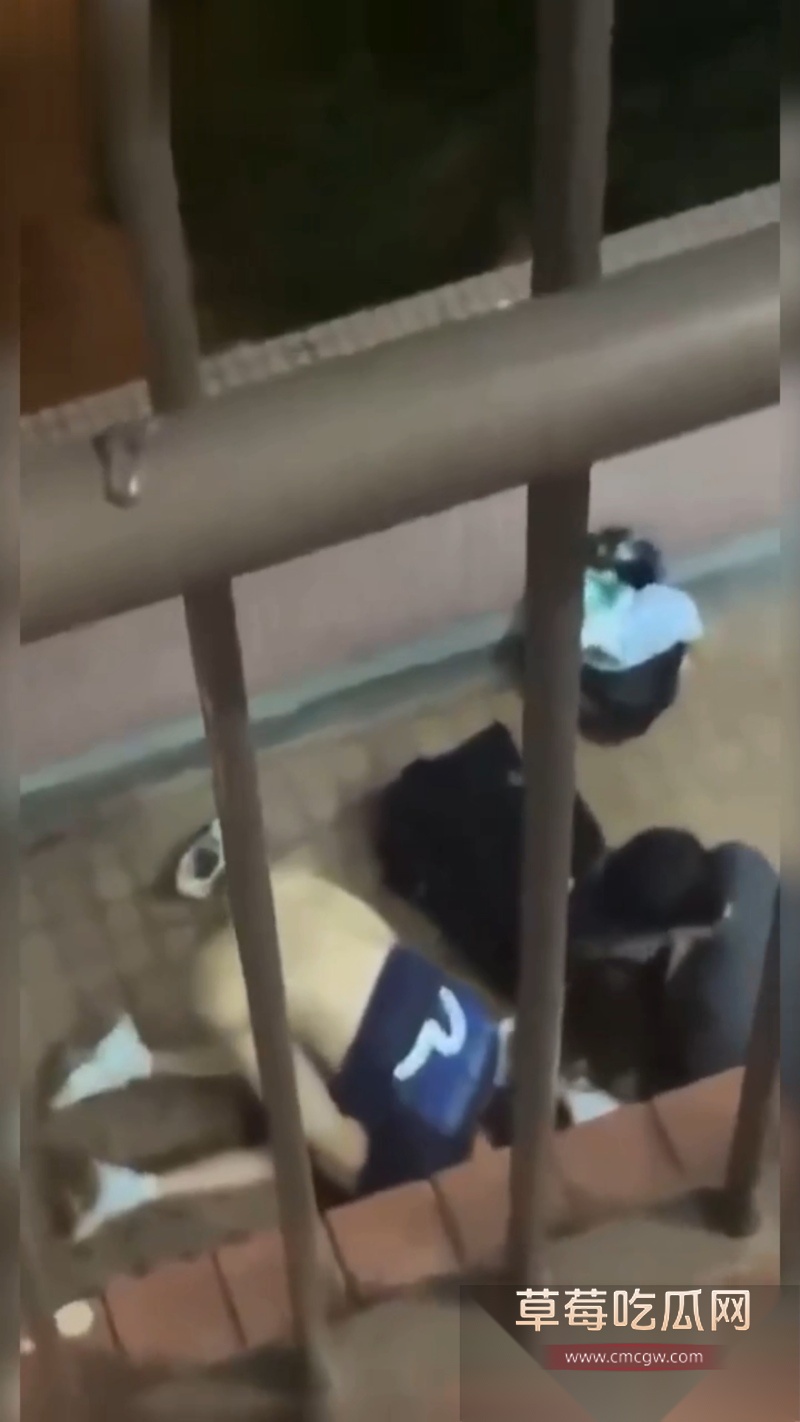 香港屋苑平台3P性爱派对被曝光 2