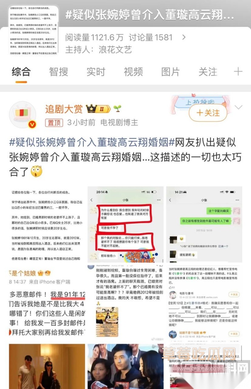 高云翔出轨张婉婷 4 高云翔出轨张婉婷 4