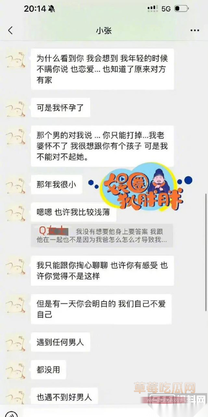 高云翔出轨张婉婷 7 高云翔出轨张婉婷 7