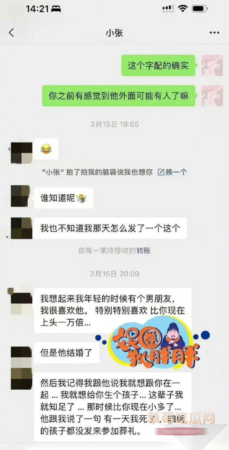 高云翔出轨张婉婷 8 高云翔出轨张婉婷 8