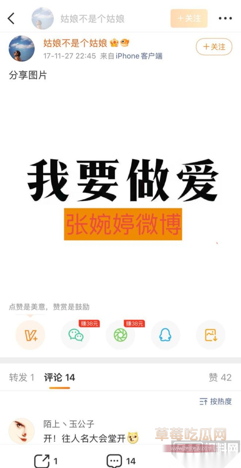 高云翔出轨张婉婷 37 高云翔出轨张婉婷 37