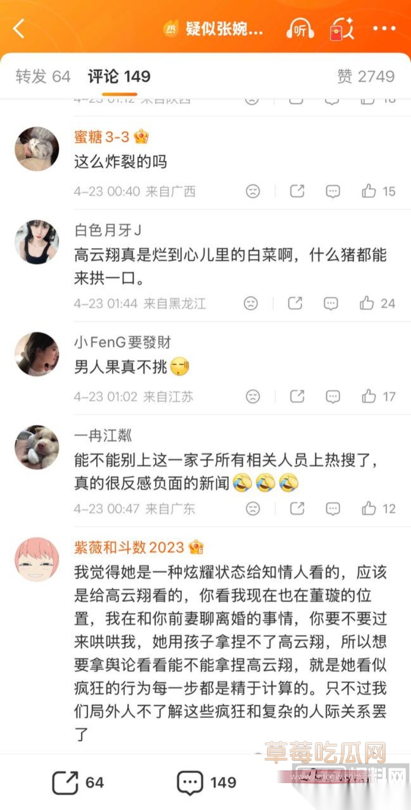 高云翔出轨张婉婷 55 高云翔出轨张婉婷 55