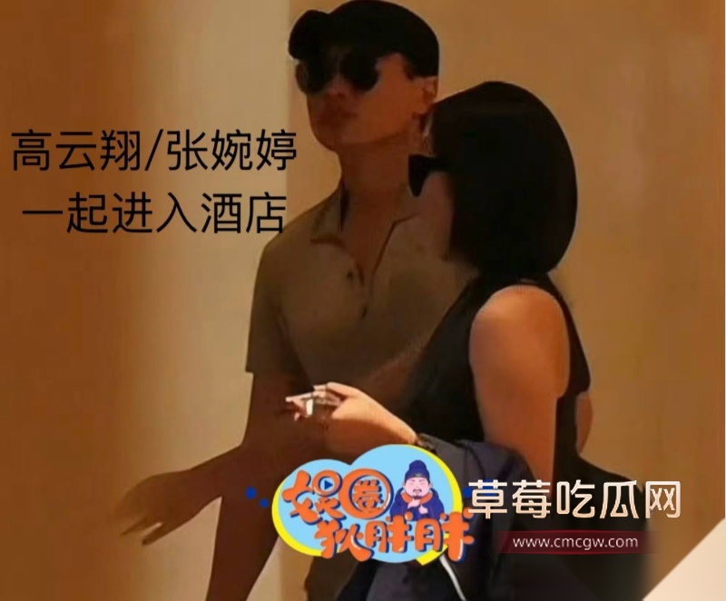 高云翔出轨张婉婷 57 高云翔出轨张婉婷 57