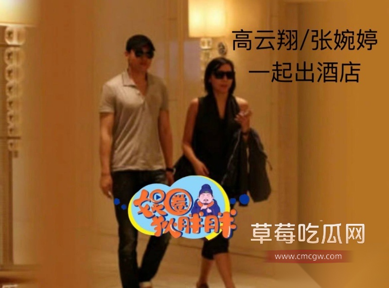高云翔出轨张婉婷 58 高云翔出轨张婉婷 58
