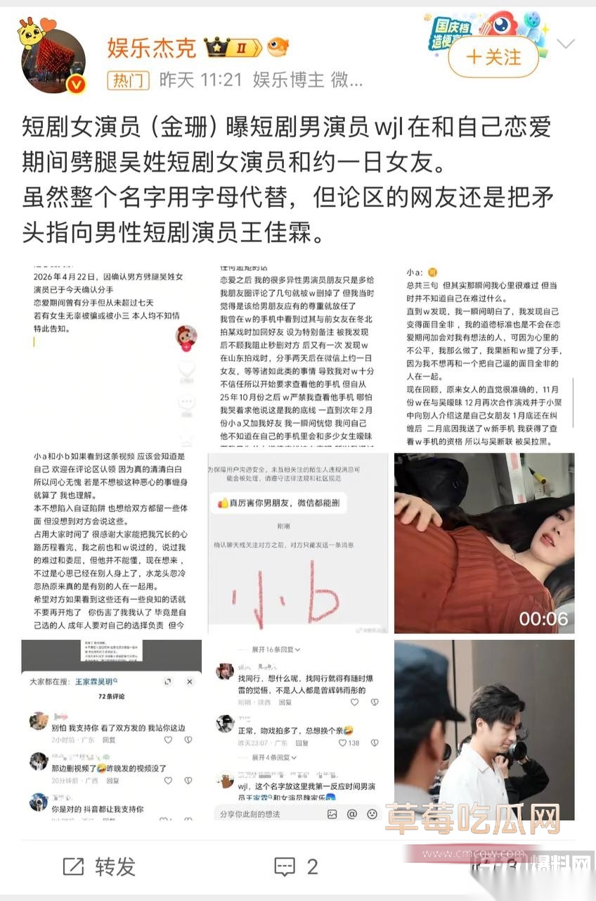 金珊11