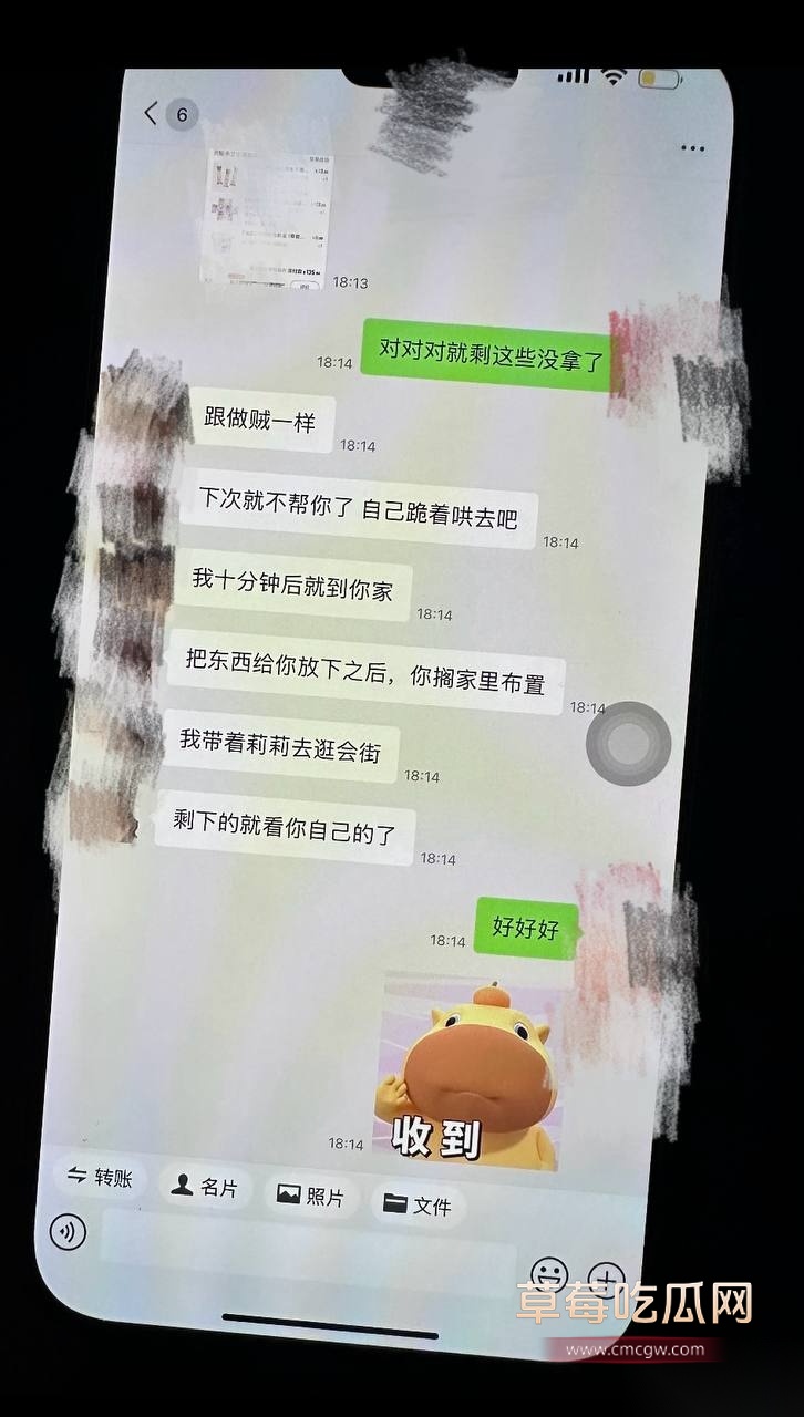 金珊17