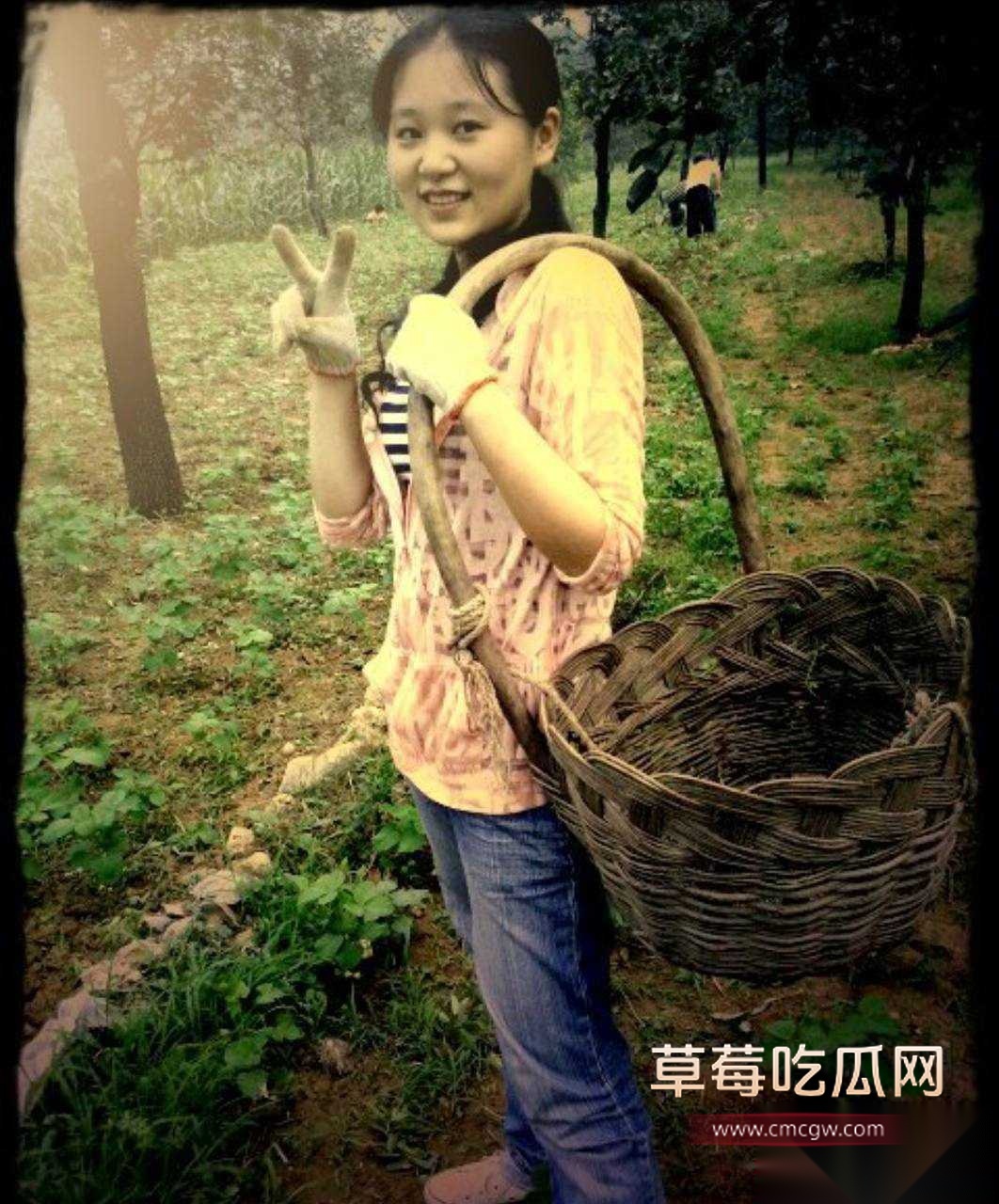 杨念群19 杨念群19