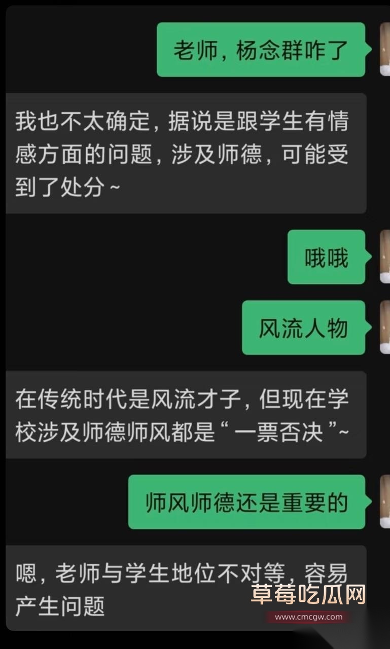 杨念群12 杨念群12