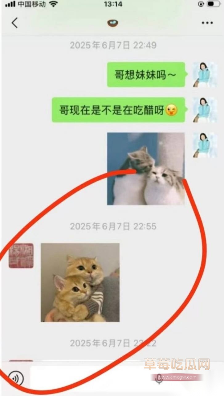 杨念群32 杨念群32