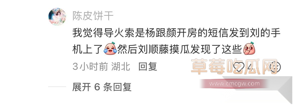 杨念群2 杨念群2