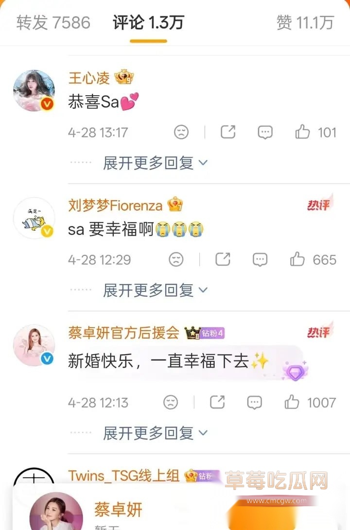 阿Sa结婚8 阿Sa结婚8