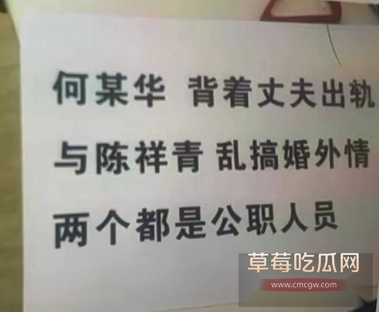 广东阳江警官陈祥青与银行行长何靖华地下情曝光3 广东阳江警官陈祥青与银行行长何靖华地下情曝光3