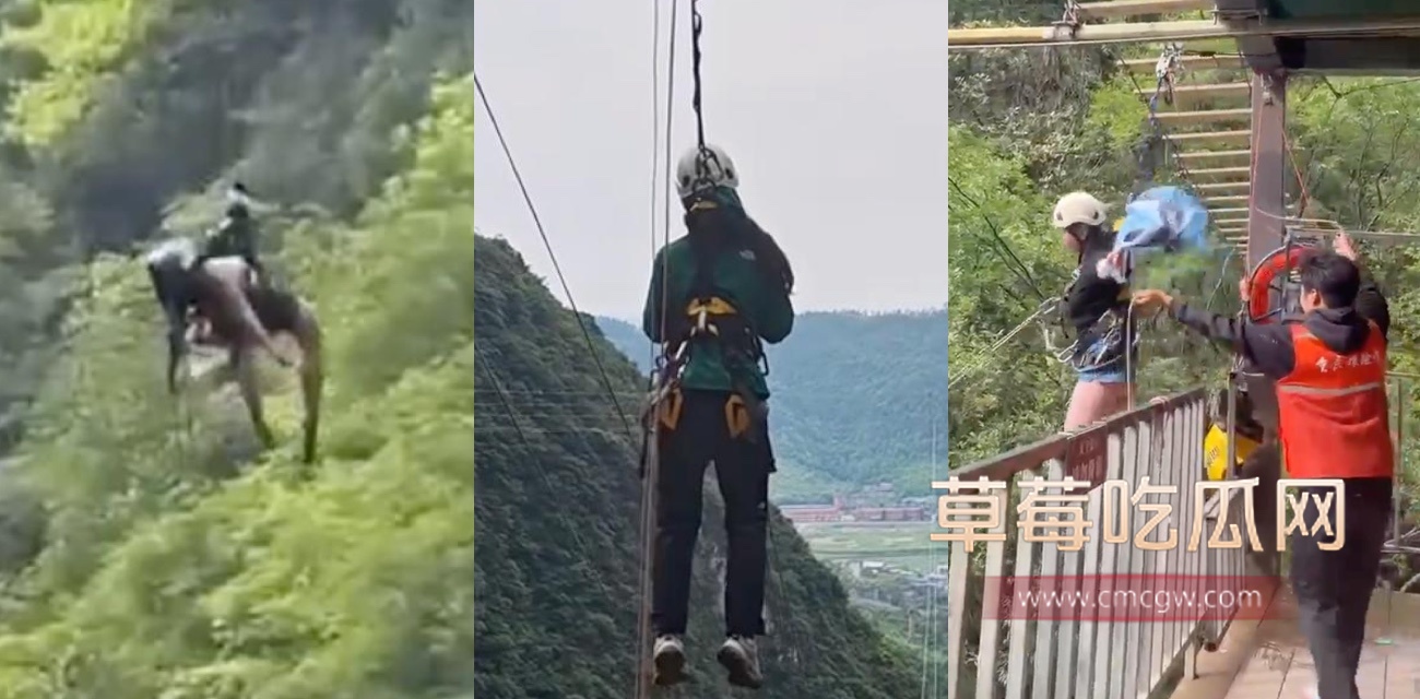 高空秋千突发事故.jpg