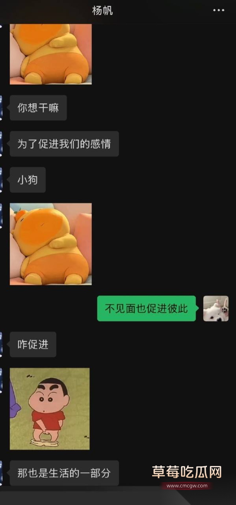 KPL职业选手帆帆 22 KPL职业选手帆帆 22