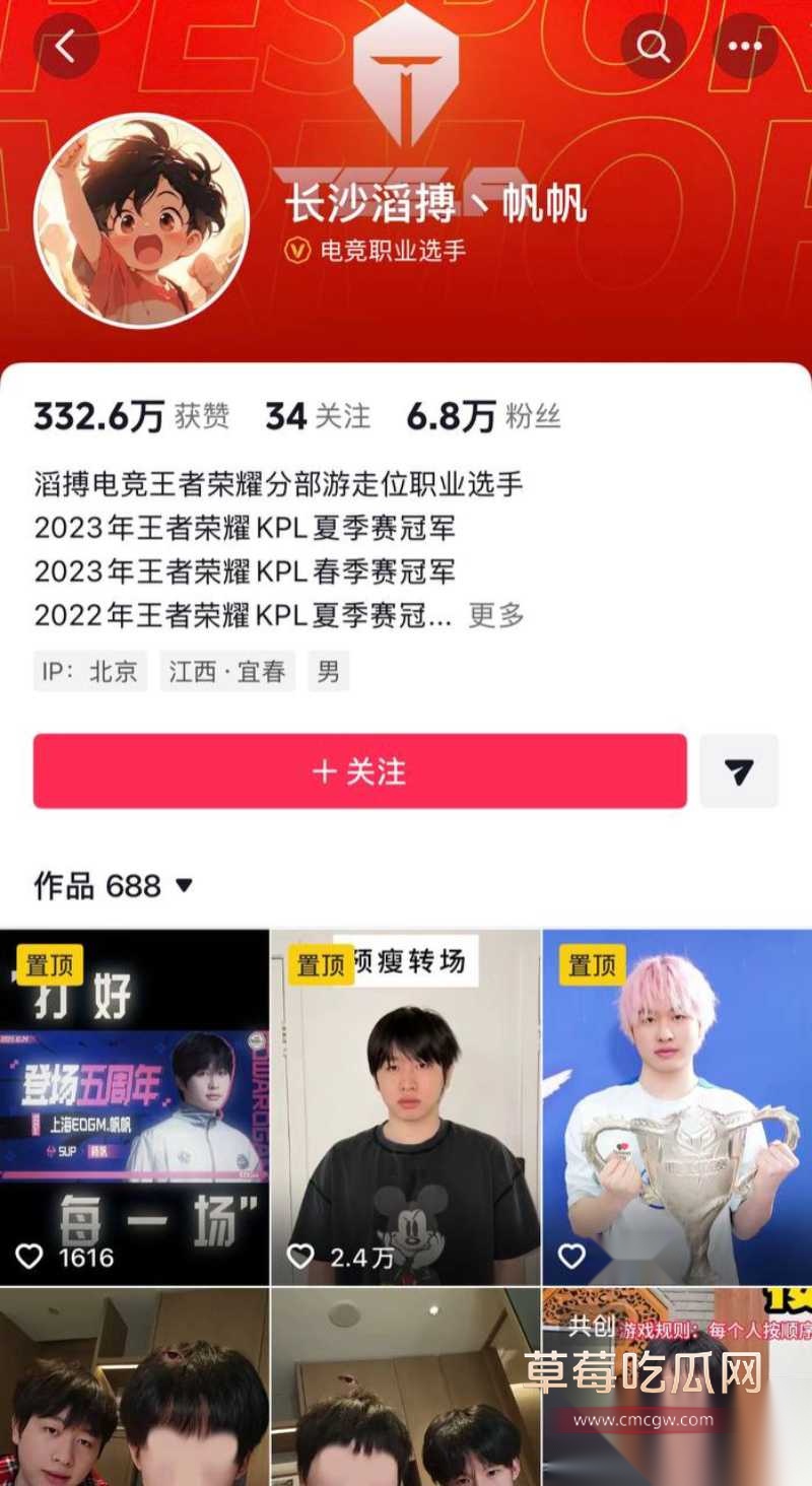 KPL职业选手帆帆 29 KPL职业选手帆帆 29