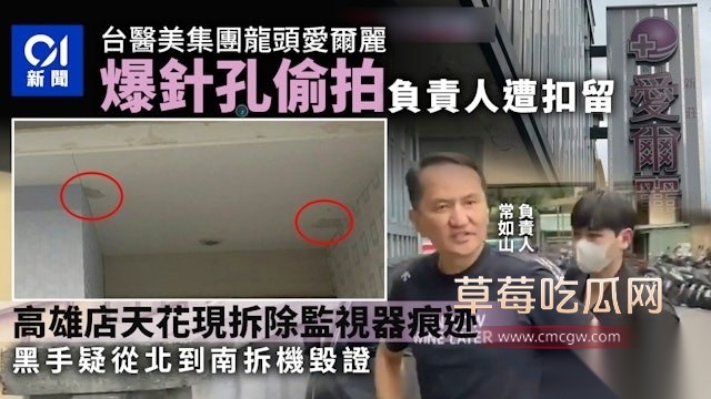 爱尔丽 9 爱尔丽 9