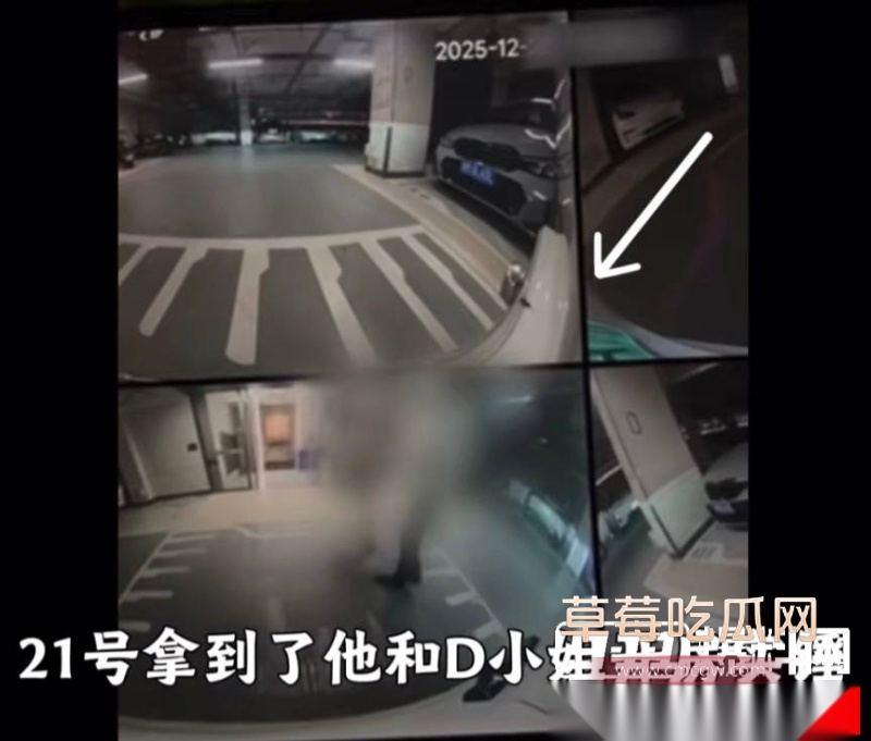 百万粉珠宝女博主控诉丈夫出轨女助理 29