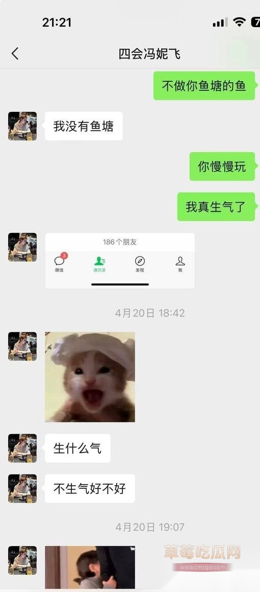 冯妮飞22 冯妮飞22