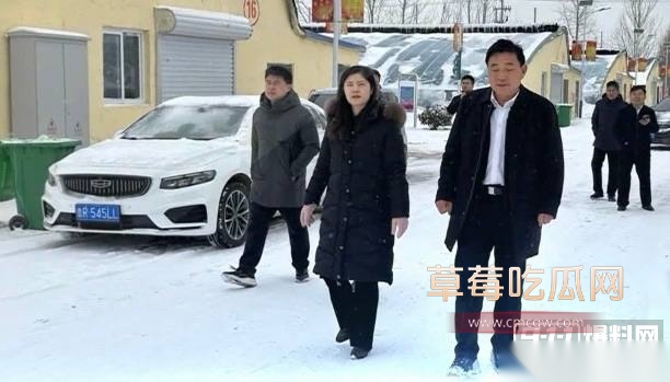 李倩17 李倩17