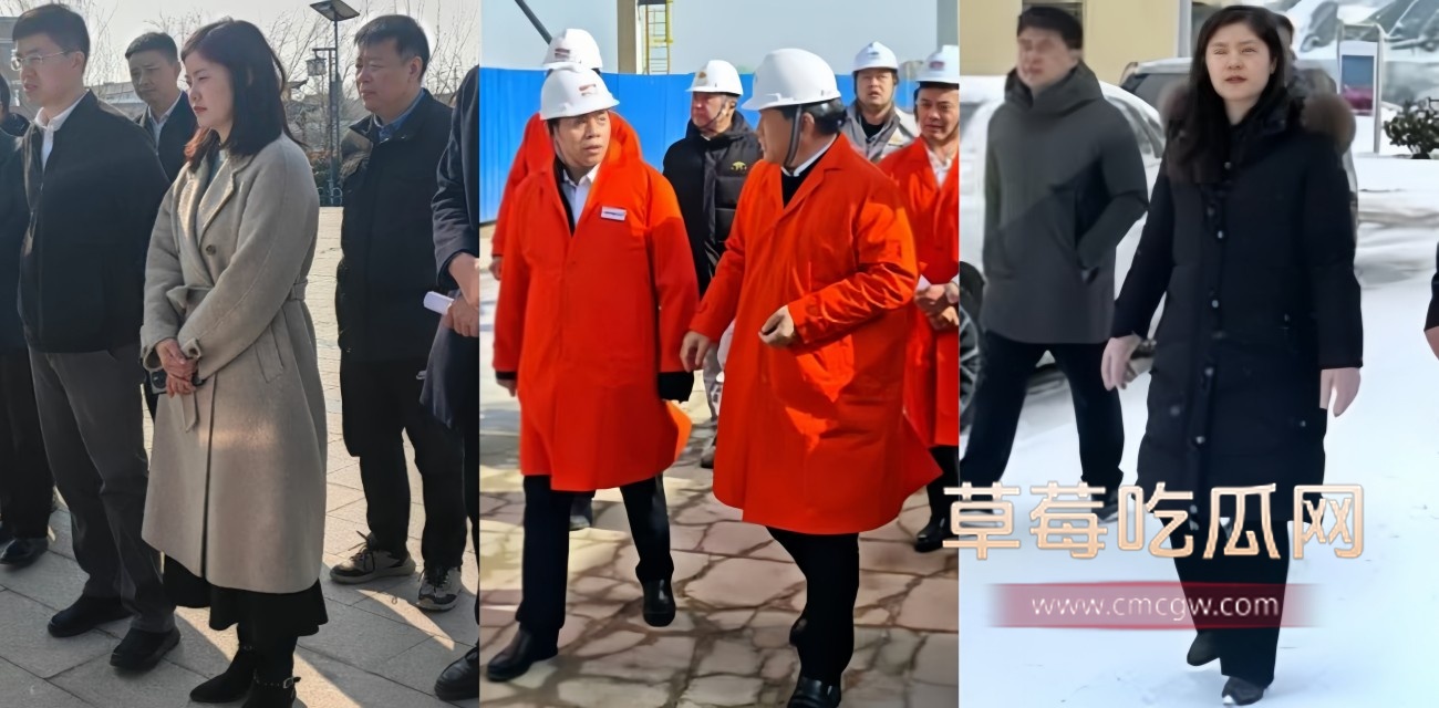 董事长李倩.jpg 董事长李倩.jpg