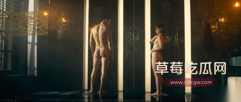 波兰大投资色情片 12