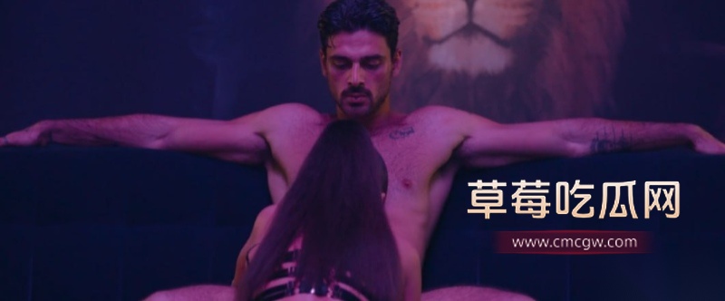 波兰大投资色情片 14