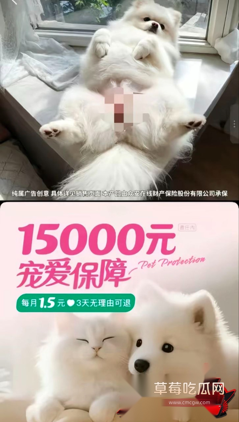 女性私密部位意外曝光 6 女性私密部位意外曝光 6