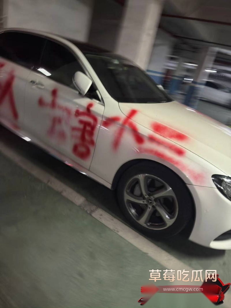 幼师陈晓薇出轨林楚涛 29 幼师陈晓薇出轨林楚涛 29