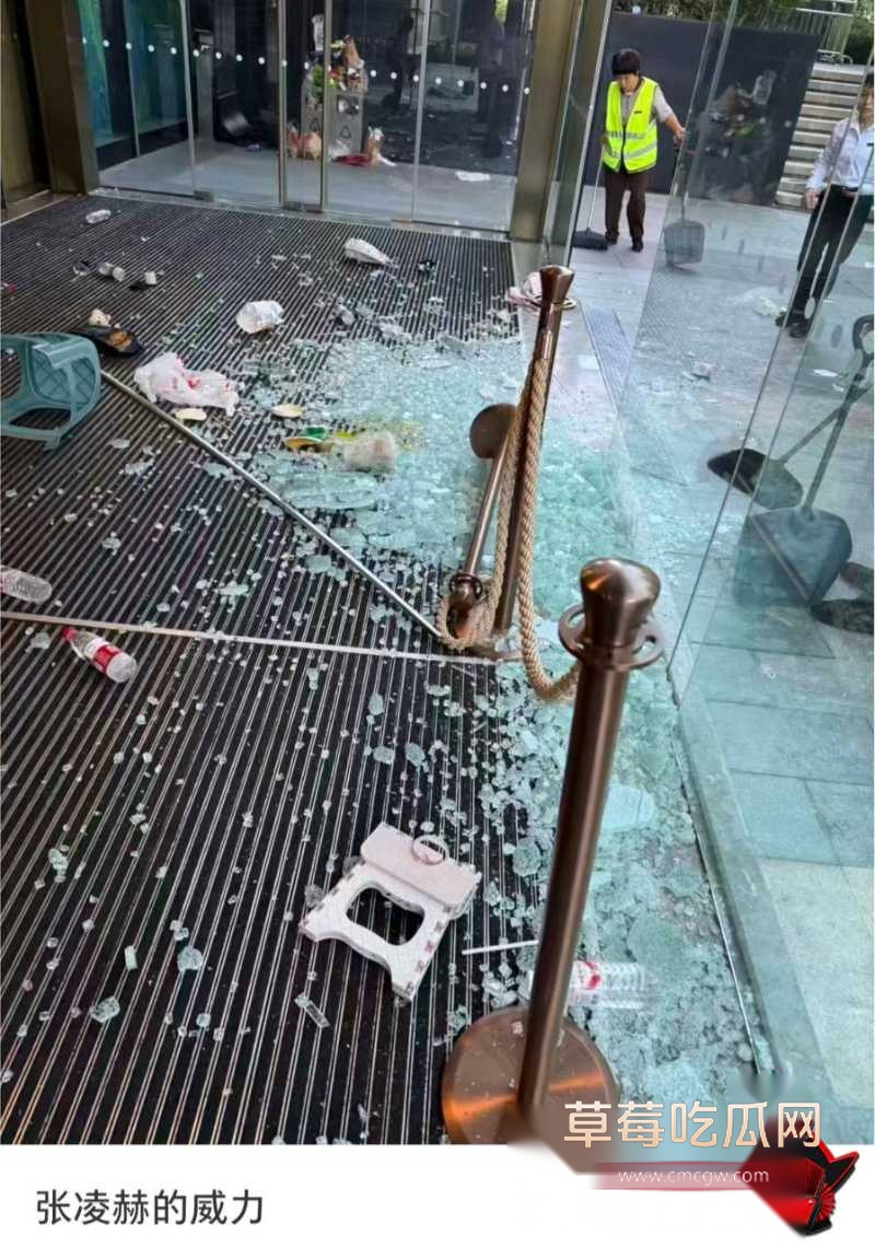 张凌赫狂热女粉丝挤碎玻璃门 14 张凌赫狂热女粉丝挤碎玻璃门 14