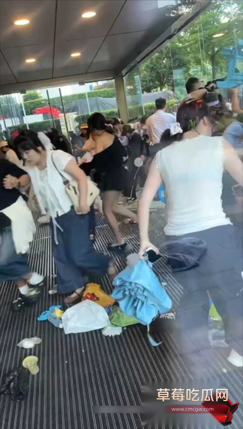 张凌赫狂热女粉丝挤碎玻璃门 3 张凌赫狂热女粉丝挤碎玻璃门 3