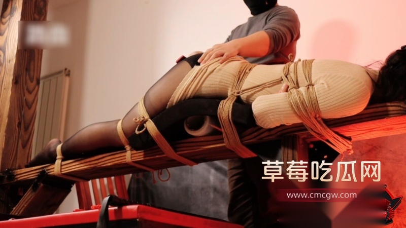 SM体验 3 SM体验 3
