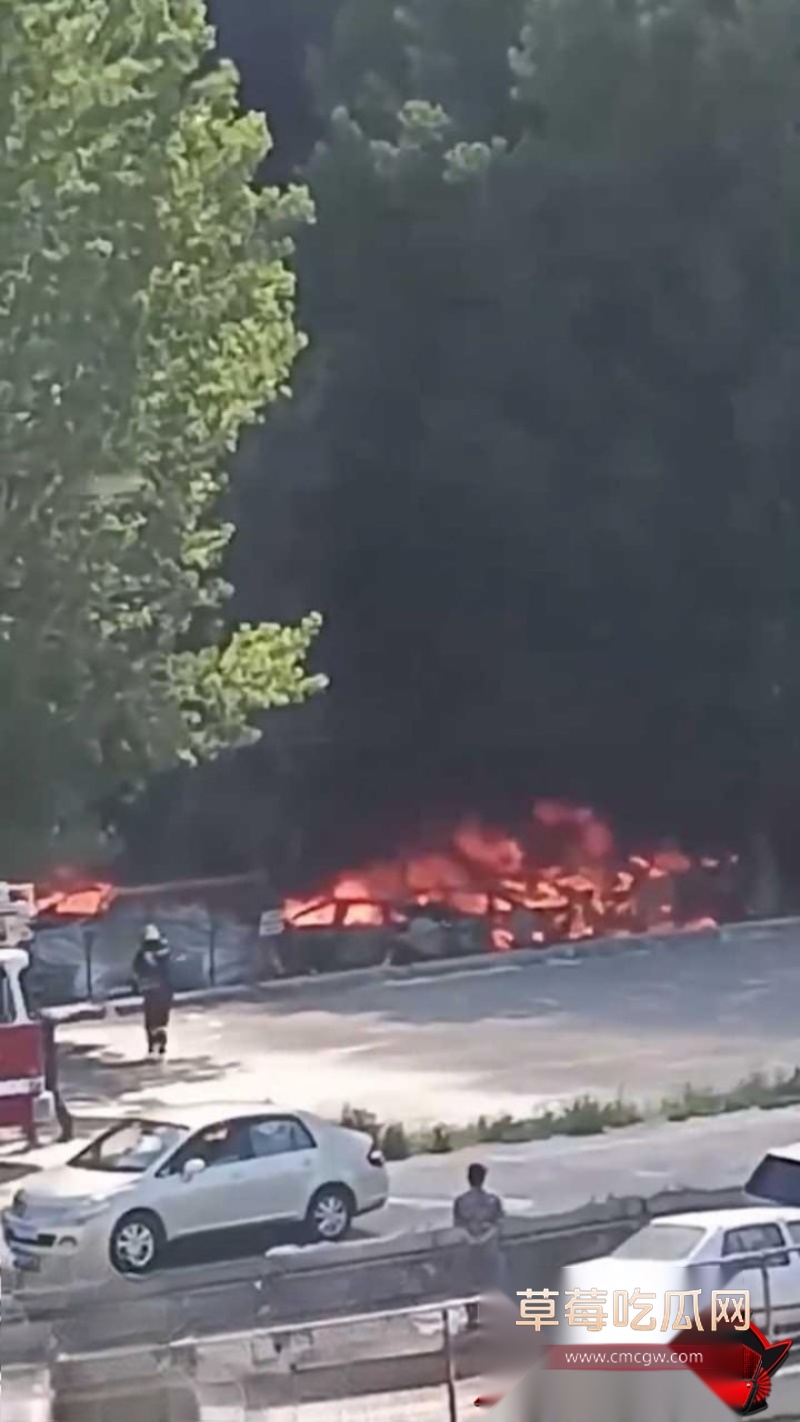 辽宁74岁老人纵火烧车 9 辽宁74岁老人纵火烧车 9