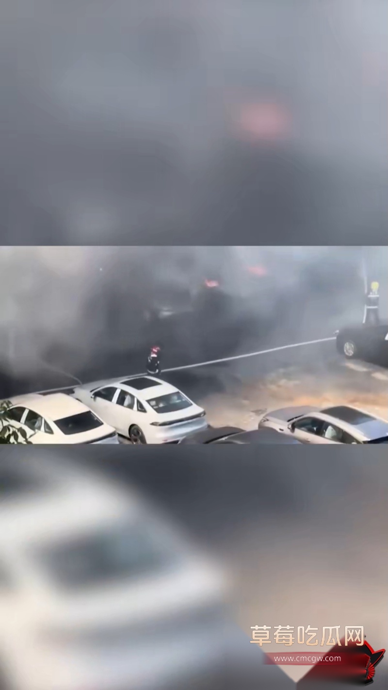 辽宁74岁老人纵火烧车 2 辽宁74岁老人纵火烧车 2