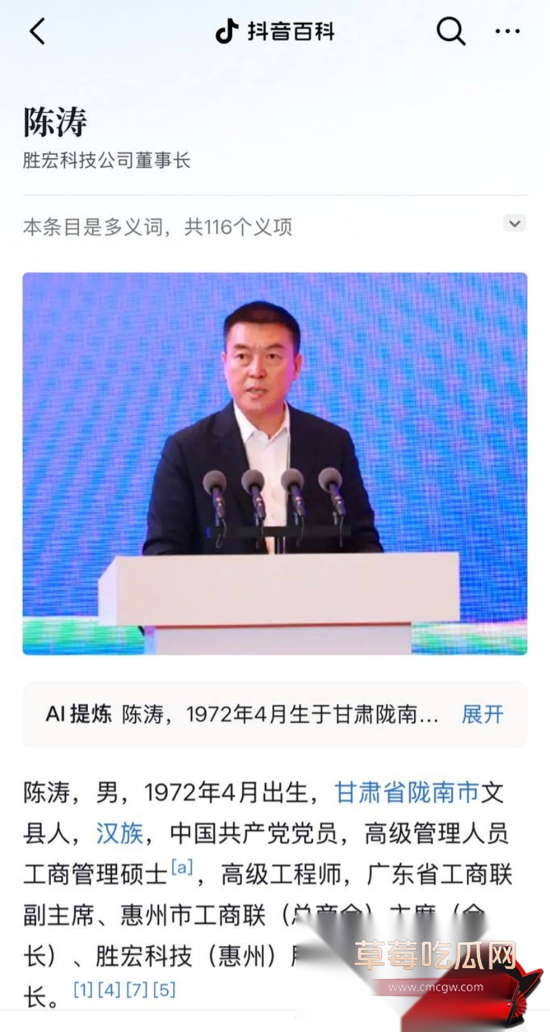 胜宏科技董事长陈涛 6 胜宏科技董事长陈涛 6
