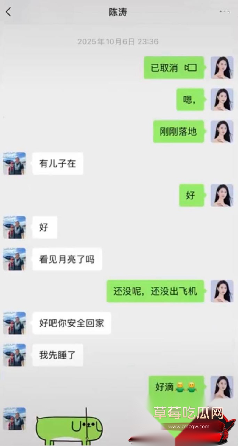 胜宏科技董事长陈涛 32 胜宏科技董事长陈涛 32
