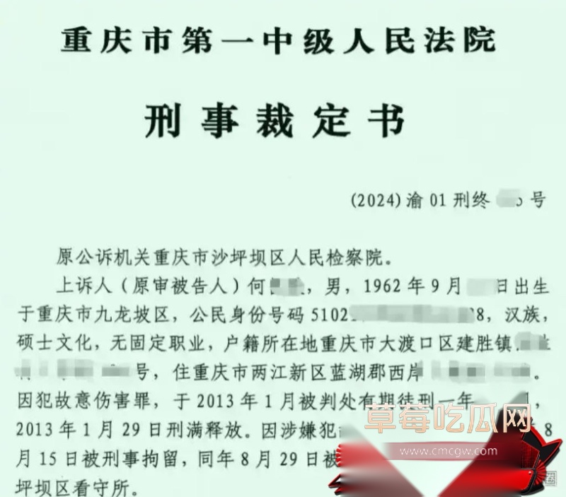 重庆检察院第五分院女检查官王维丹 19