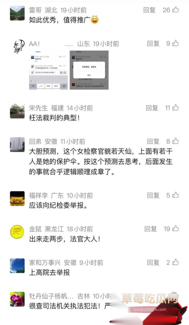 重庆检察院第五分院女检查官王维丹 46