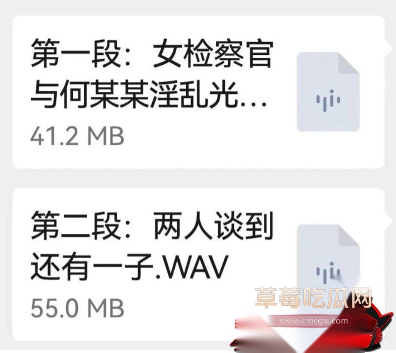 重庆检察院第五分院女检查官王维丹 53