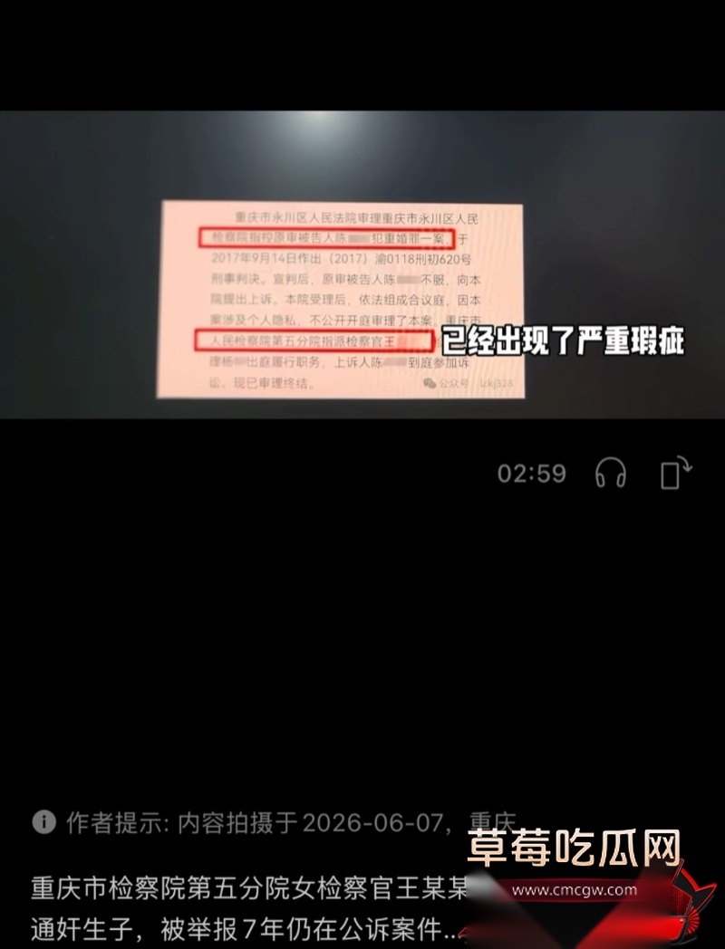 重庆检察院第五分院女检查官王维丹 1