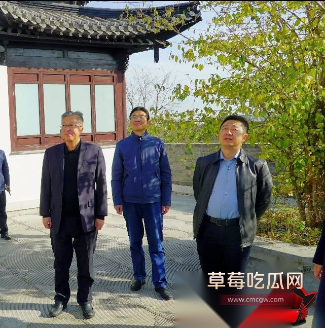 白鹭58