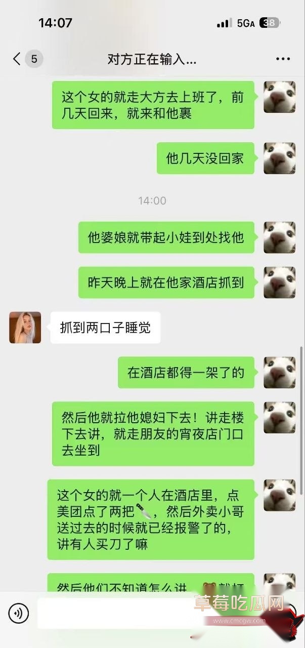 养小三7