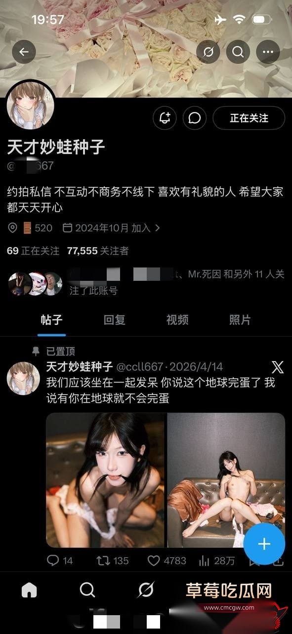 天才妙蛙种子11 天才妙蛙种子11