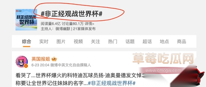 世界杯美女球迷整活现场8